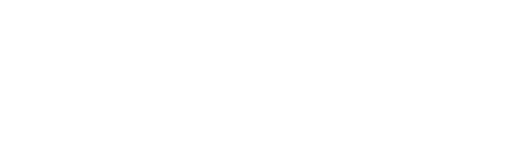 Constant Flow Logistics